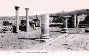 ALGERIE-RUINES ROMAINES DE LAMBESE (20)